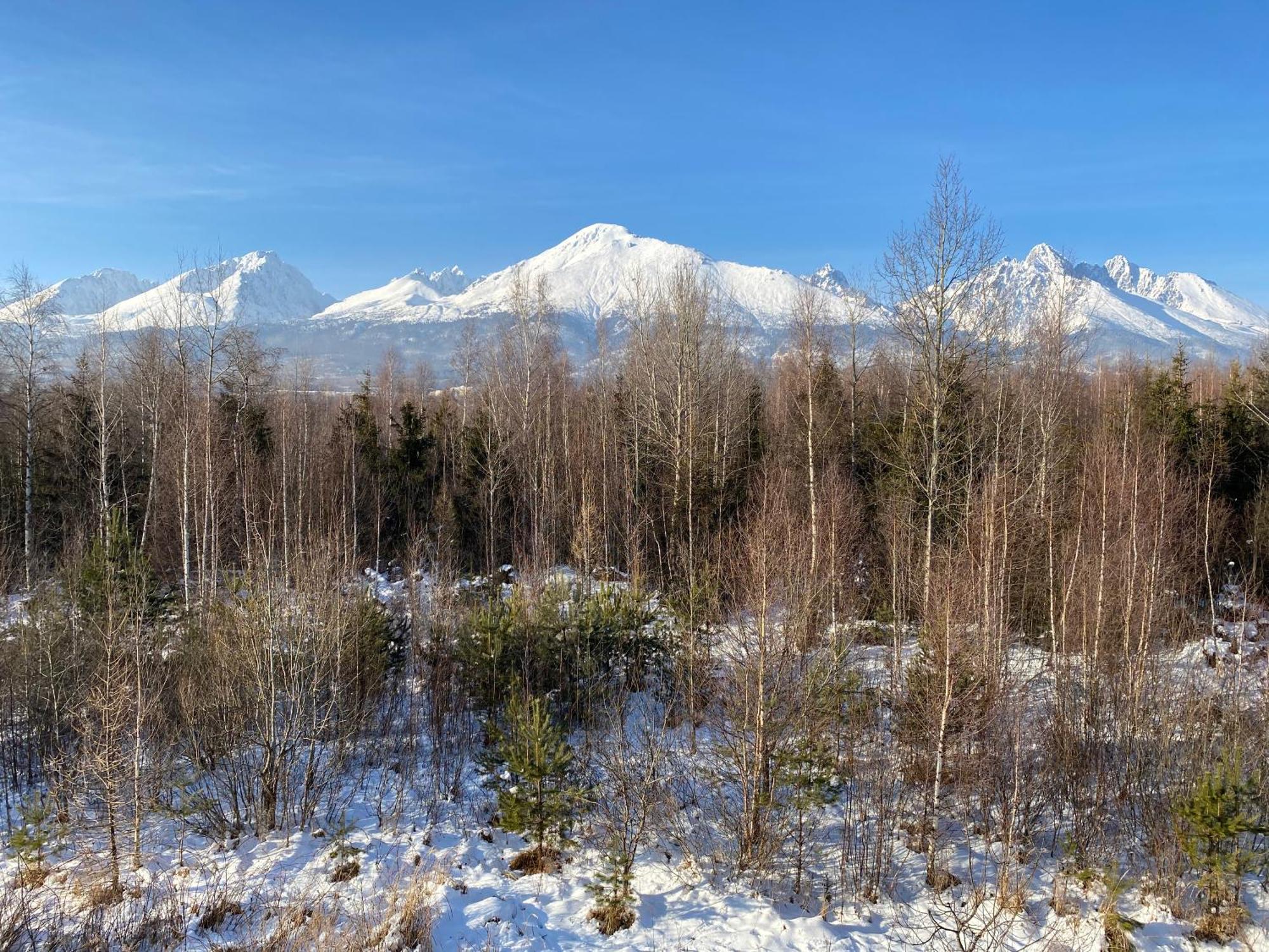 Apartman S Nadhernym Vyhladom Na Tatry Veľký Slavkov Exterior foto